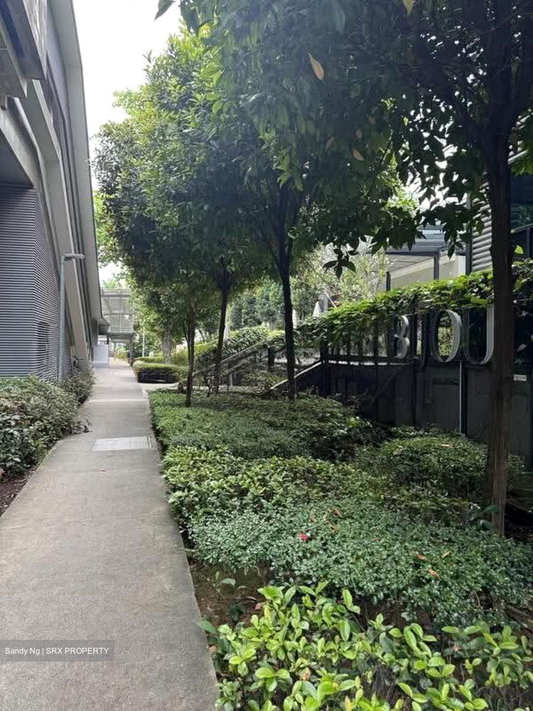 Springdew Terrace (D5), Retail #639024441